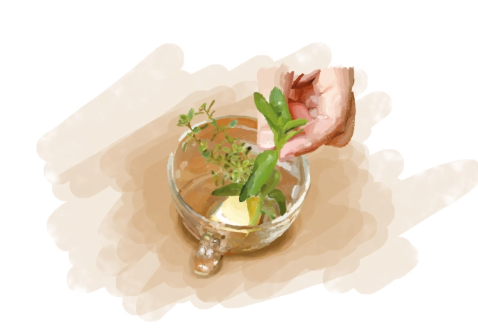 百里香茶泡法 百里香茶泡法