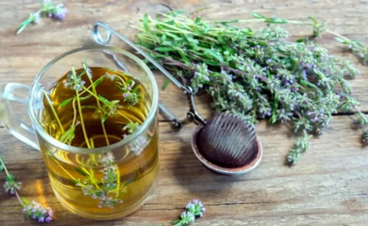 百里香茶泡法 百里香茶泡法