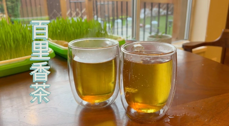 百里香茶好處 百里香茶好處