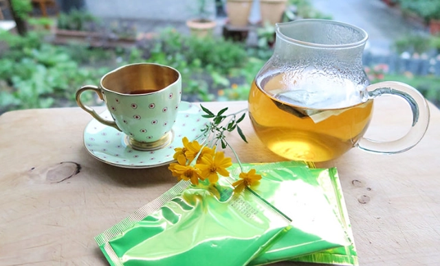 萬壽菊種類