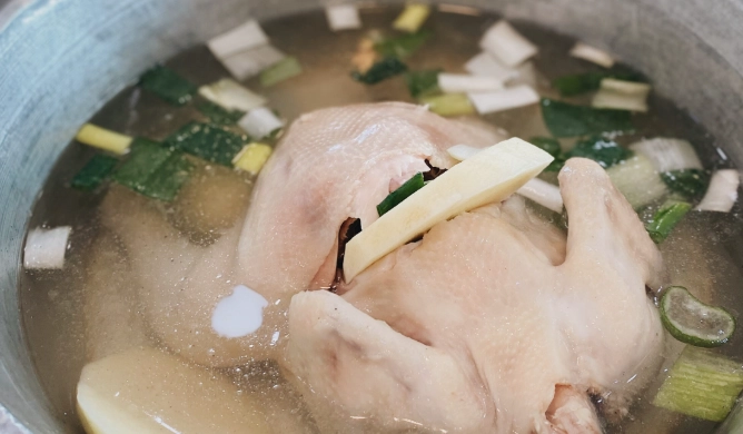 雞肉感冒 雞肉感冒