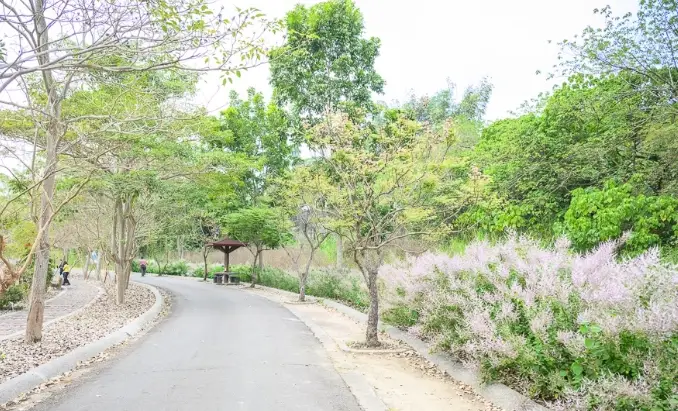 南投賞花景點