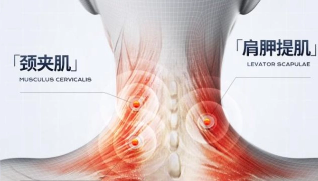 肩颈按摩 方法