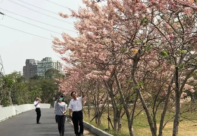 清明連假賞花