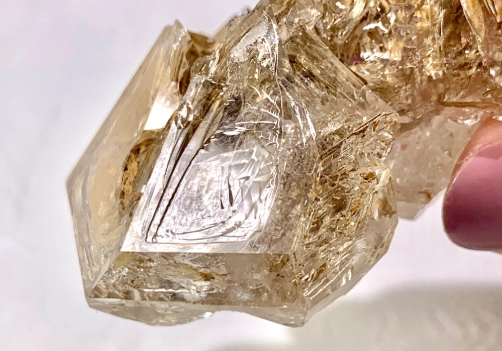 骸骨水晶效果 骸骨水晶效果
