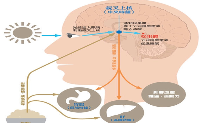 改善血液循環方法 改善血液循環方法