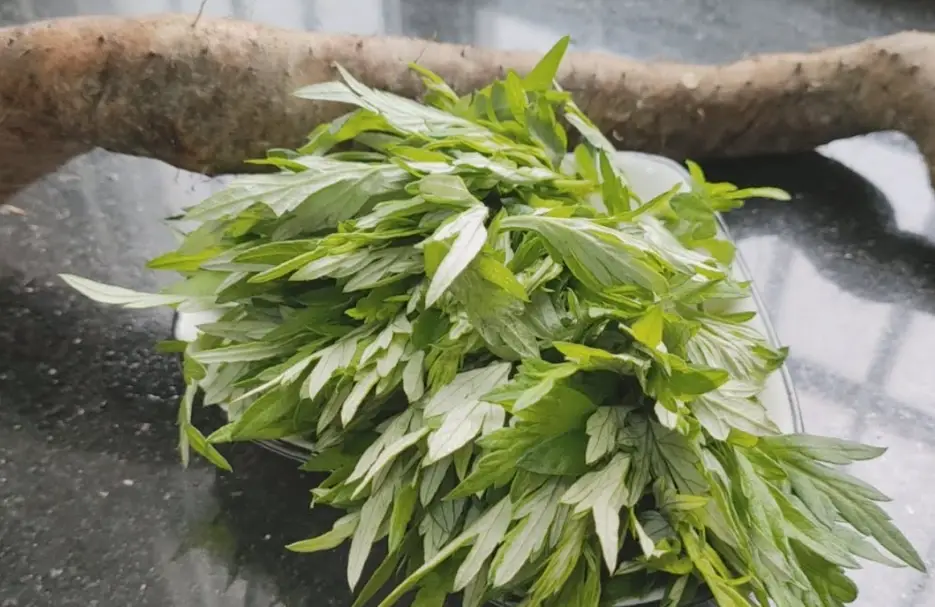 艾草根怎麼煮