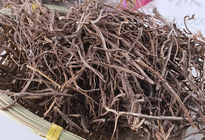 艾草根怎麼煮
