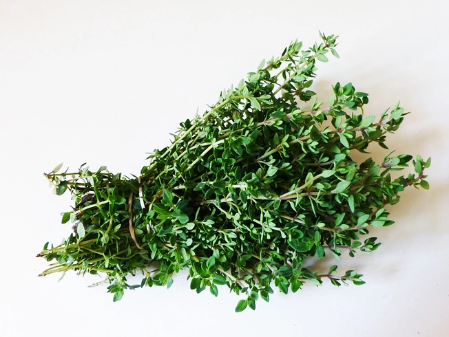 百里香怎麼種 百里香怎麼種