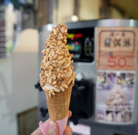 桃園老街 桃園老街