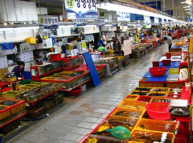 韓國釜山旅遊