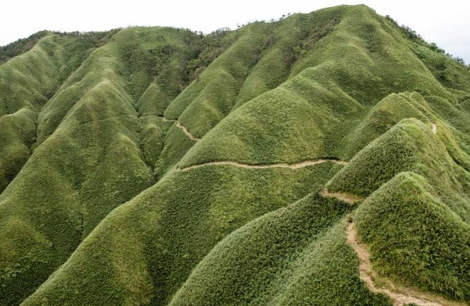 抹茶山 抹茶山