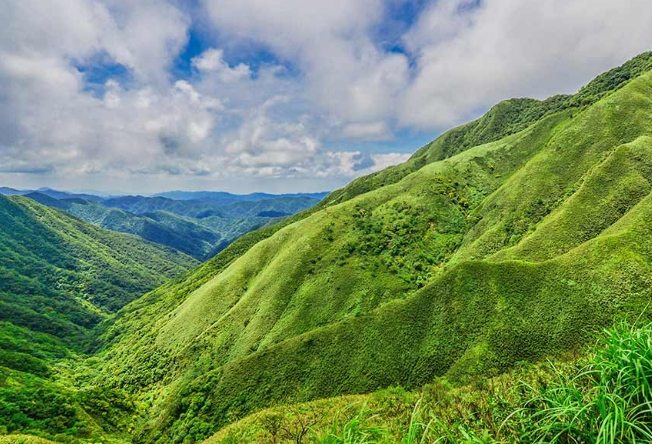 抹茶山 抹茶山
