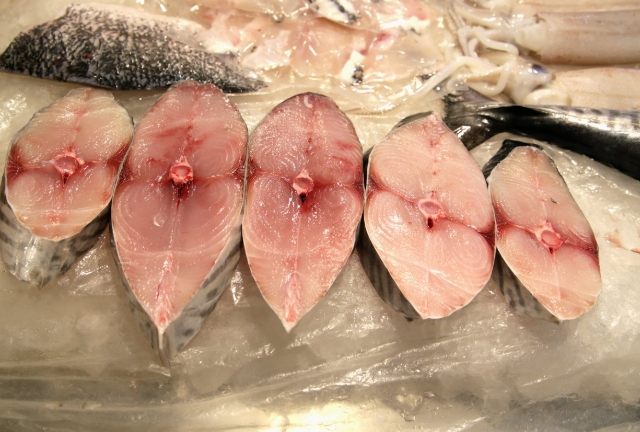 土魠魚 土魠魚