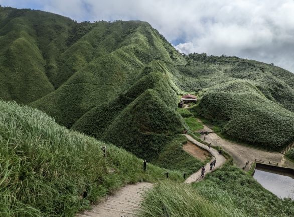 抹茶山 抹茶山