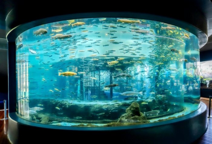 魚中魚水族館 魚中魚水族館