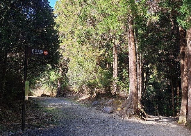 榛山步道 榛山步道