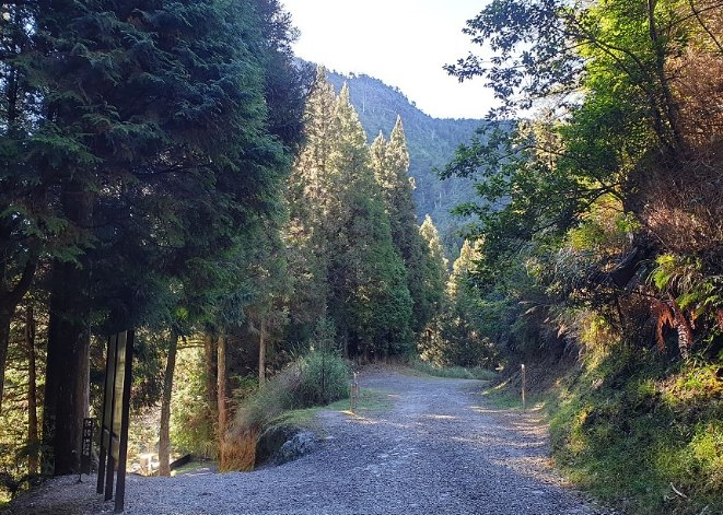 榛山步道 榛山步道