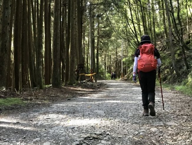榛山步道 榛山步道
