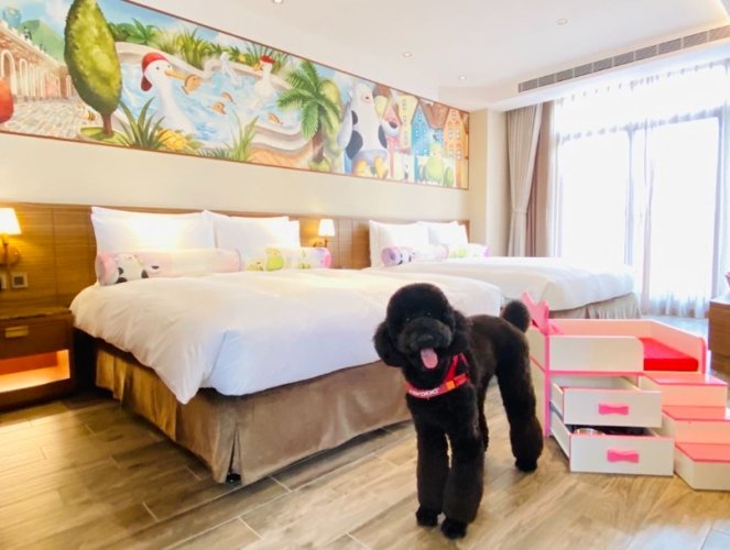 苗栗寵物住宿