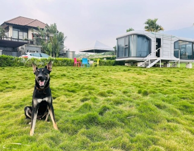 苗栗寵物友善住宿