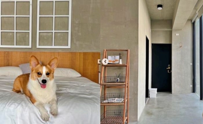 內灣帶狗住宿