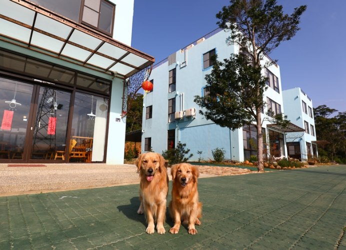 苗栗寵物友善住宿