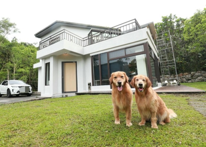 苗栗宠物友善住宿 苗栗宠物友善住宿