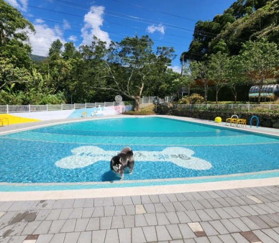 帶寵物民宿南庄 帶寵物民宿南庄