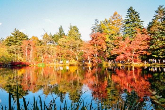 輕井澤周邊旅遊 輕井澤周邊旅遊