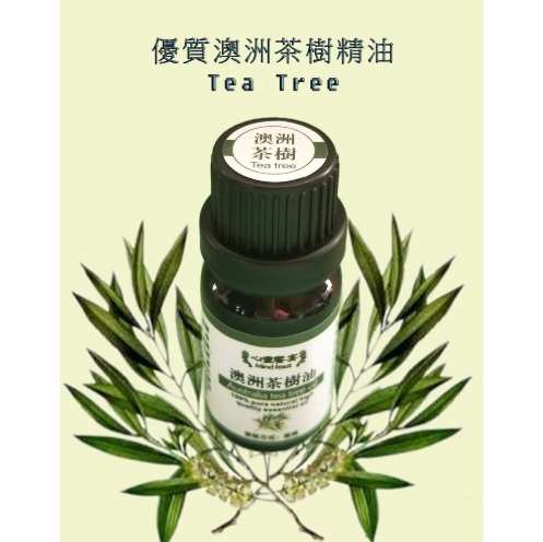 澳洲茶樹精油功效 澳洲茶樹精油功效