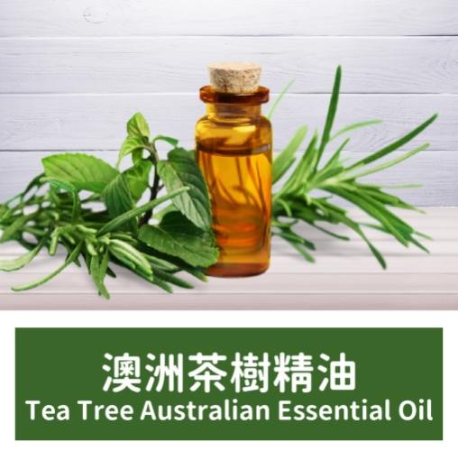 茶樹精油怎麼用 茶樹精油怎麼用