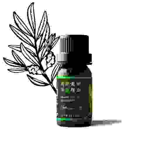 茶樹精油推薦 茶樹精油推薦