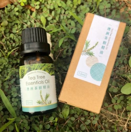茶樹精油推薦 茶樹精油推薦