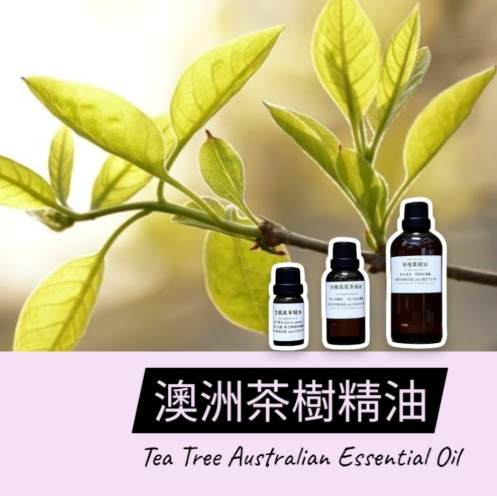 茶樹精油怎麼用 茶樹精油怎麼用
