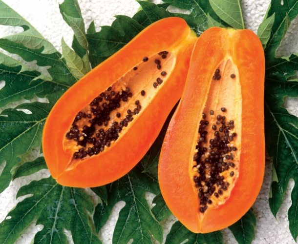 紅妃木瓜生長周期 紅妃木瓜生長周期