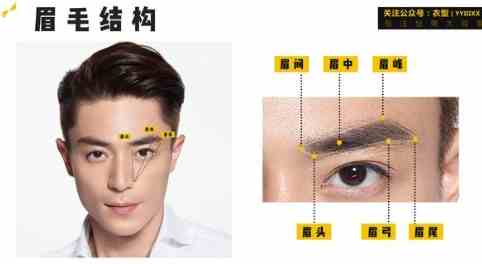 眉型面相 眉型面相