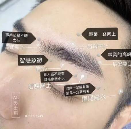 眉型面相 眉型面相