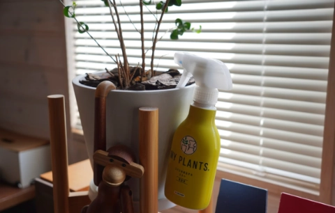 天然驅蟲植物 天然驅蟲植物