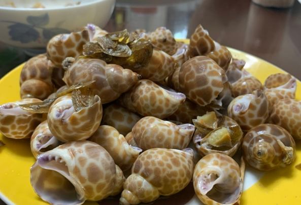 鳳螺不能吃部位