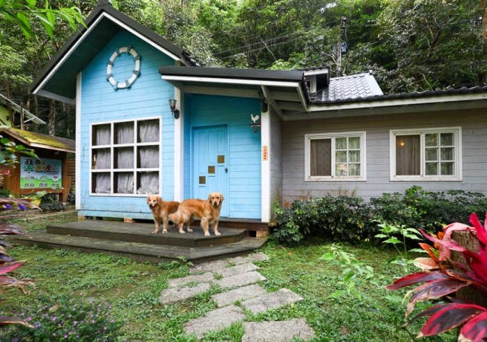 苗栗帶寵物住宿