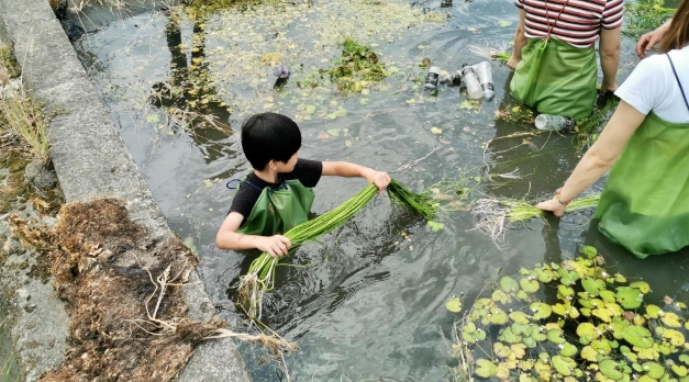 水蓮泡水