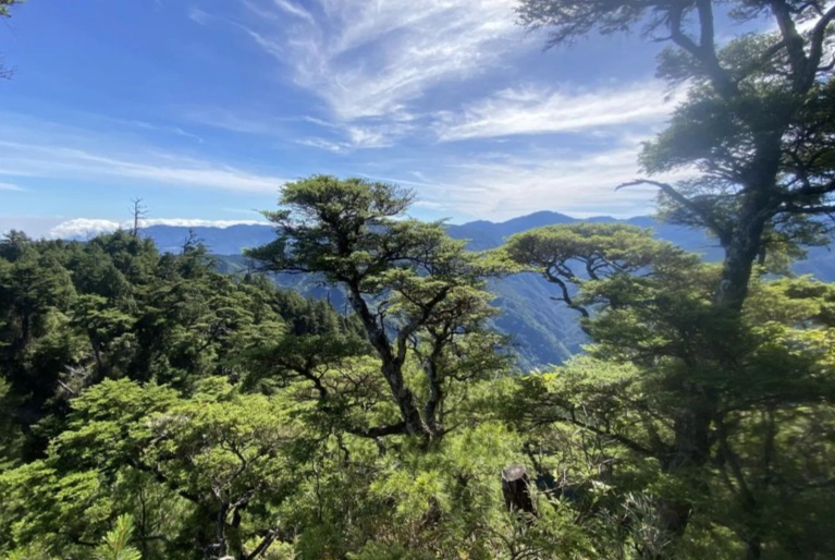 榛山登山路線