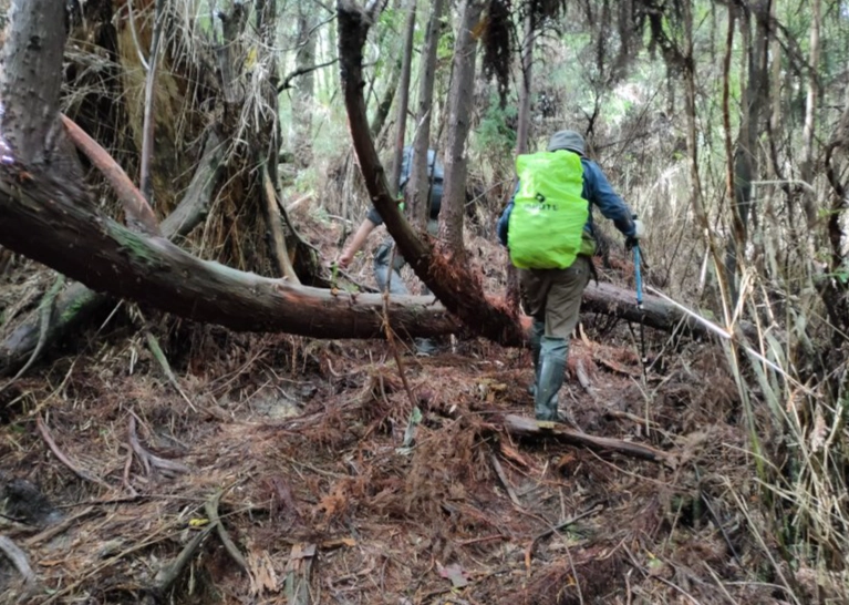 榛山登山路線