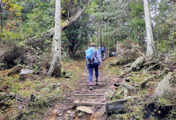 榛山步道難度