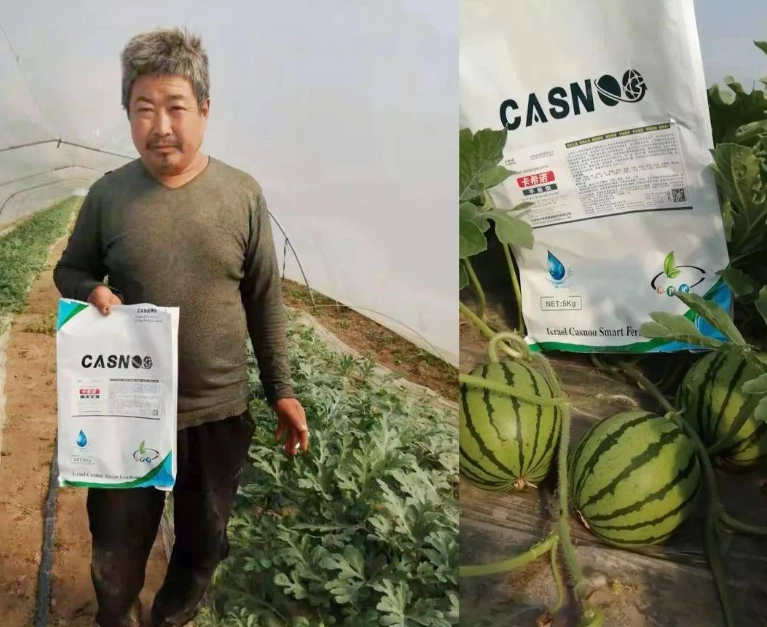 節瓜種植施肥