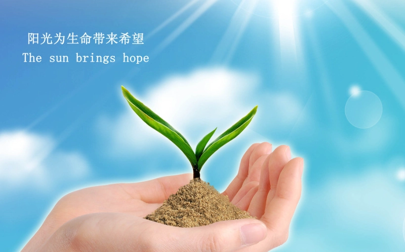 種子發芽光照條件