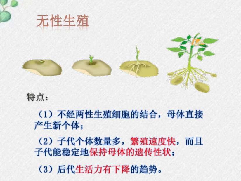 無性繁殖優缺點 無性繁殖優缺點