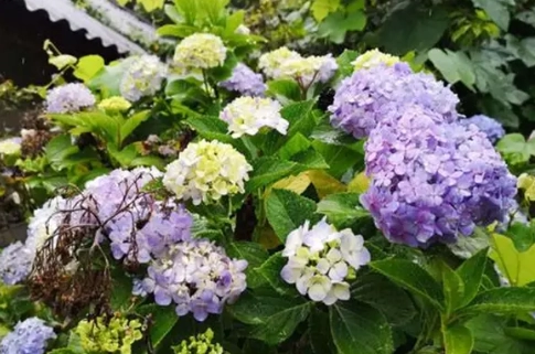 悶根處理 悶根處理