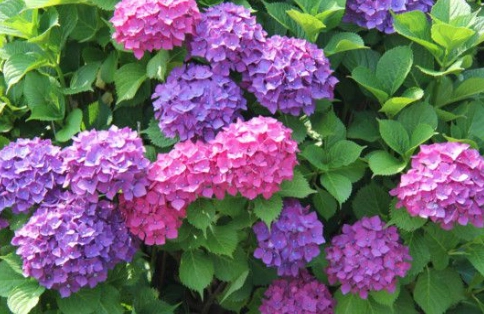 悶根處理 悶根處理